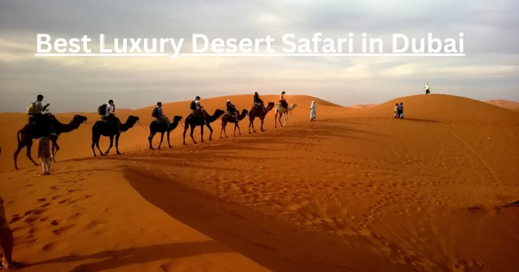 Best Luxury Desert Safari in Dubai