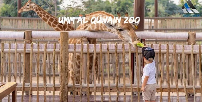 Umm Al Quwain Zoo