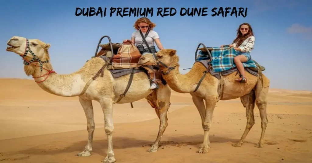 Dubai Premium Red Dune Safari