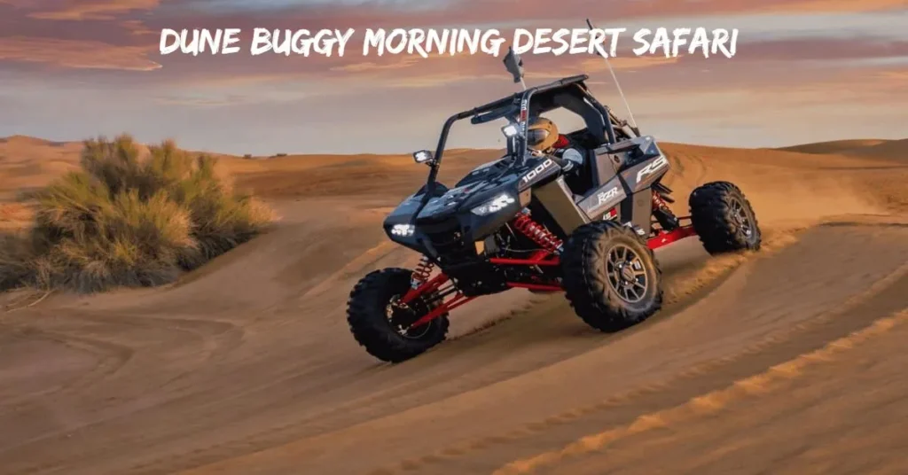 Dune Buggy Morning Desert Safari With Camel Riding