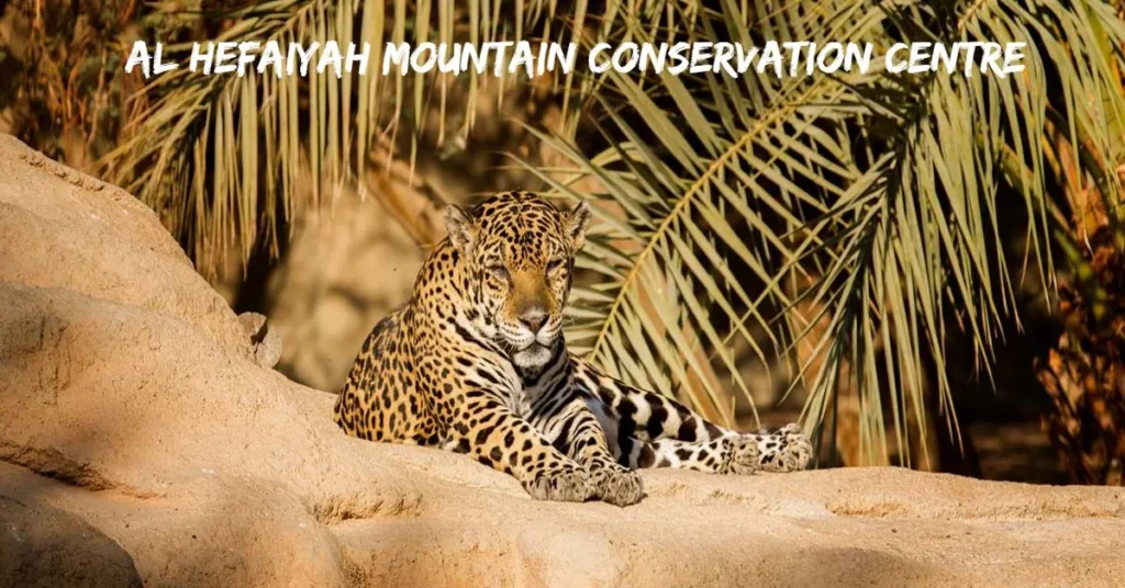 Al Hefaiyah Mountain Conservation Centre