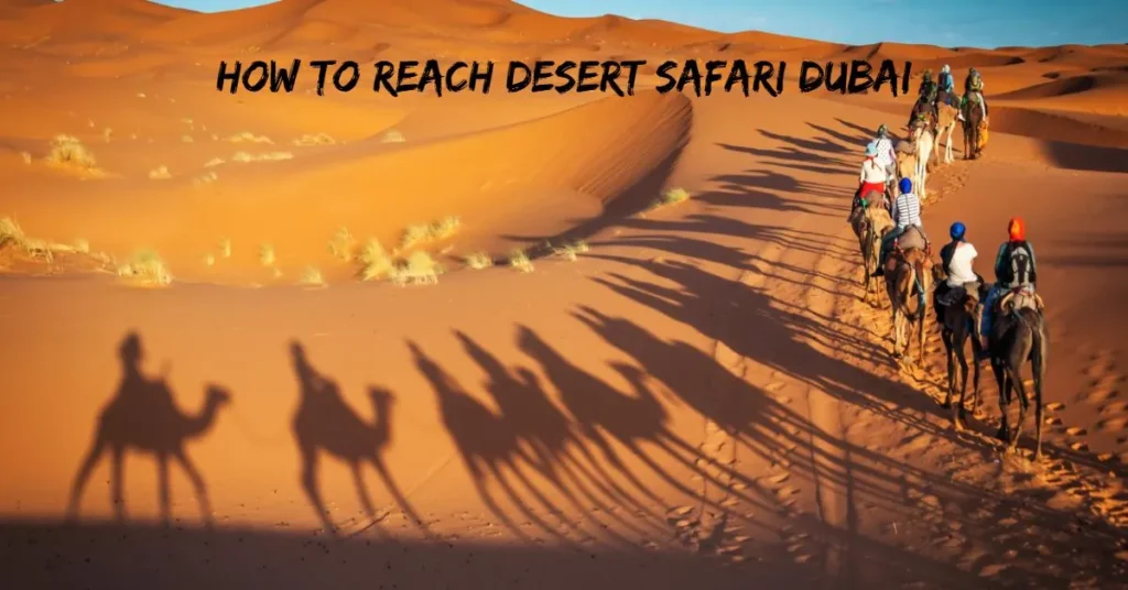 How to Reach Desert Safari Dubai