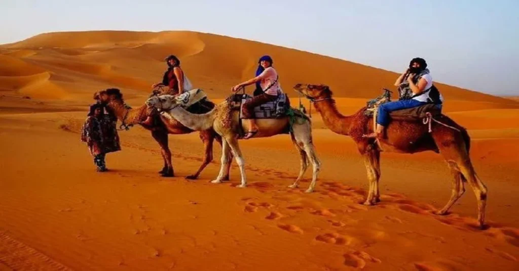 Private half day desert safari in Dubai with 4x4 dune bashing on red sand dunes