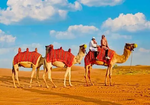 Camel Ride in the Dubai Desert