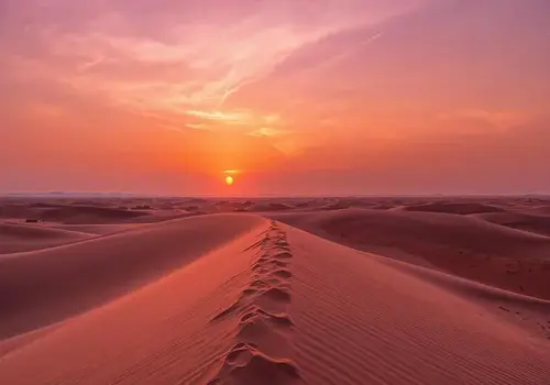 Sunset Photography
